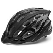 Цвет shiny black
