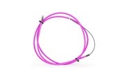 Цвет neon pink