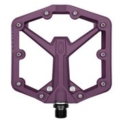 Цвет plum purple