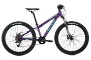 Цвет purple/mint