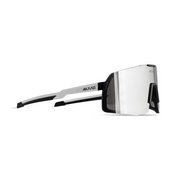 Цвет silver revo