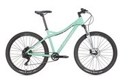 Цвет light green