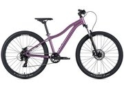 Цвет berry / plum