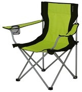 Цвет 1701 lime/black