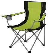 Цвет 1701 lime/ black