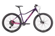Цвет purple/pink