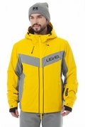 Цвет yellow/grey