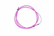 Цвет neon pink