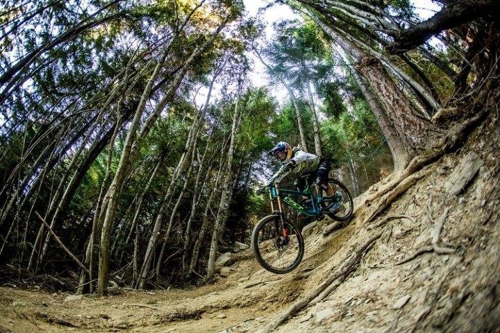 GT: Atherton Racing в Новой Зеландии 35