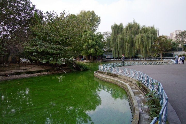 GT: Евгений Курников ChinaTrip2014 46