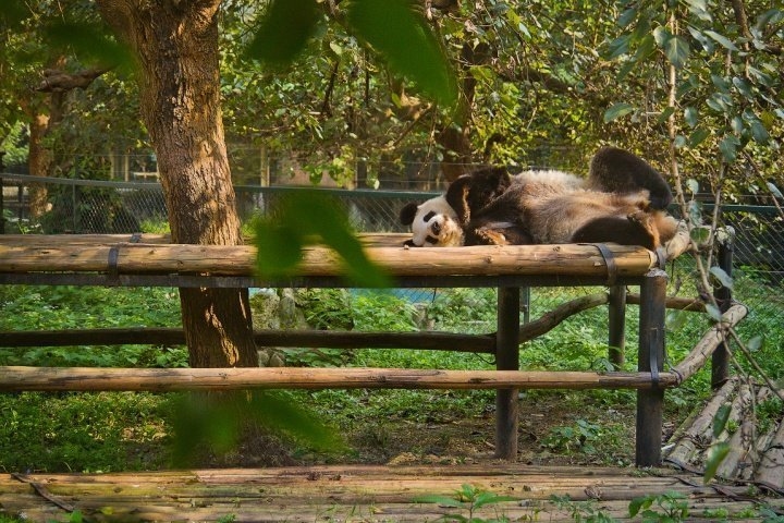 GT: Евгений Курников ChinaTrip2014 191