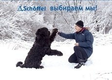 Я выбираю Schöffel 55