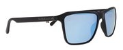 Цвет black/blue mirror polar cat3