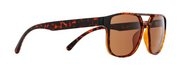 Цвет havanna/brown polar cat3