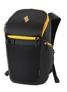 Цвет golden black