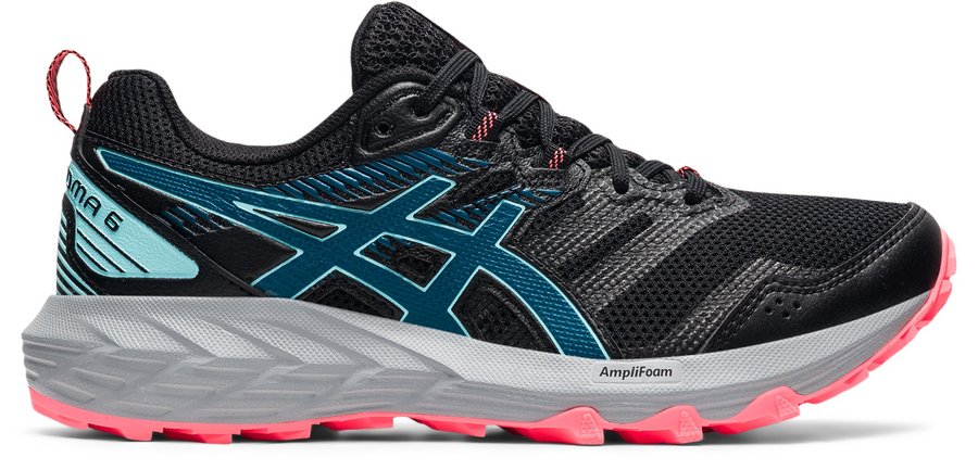 Asics 2024 evolution 6