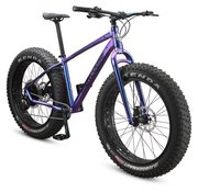 Mongoose store argus comp