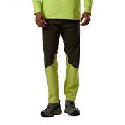 a01 olive shadow
