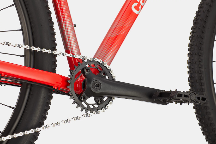 Cannondale 2019 cheap trail 5